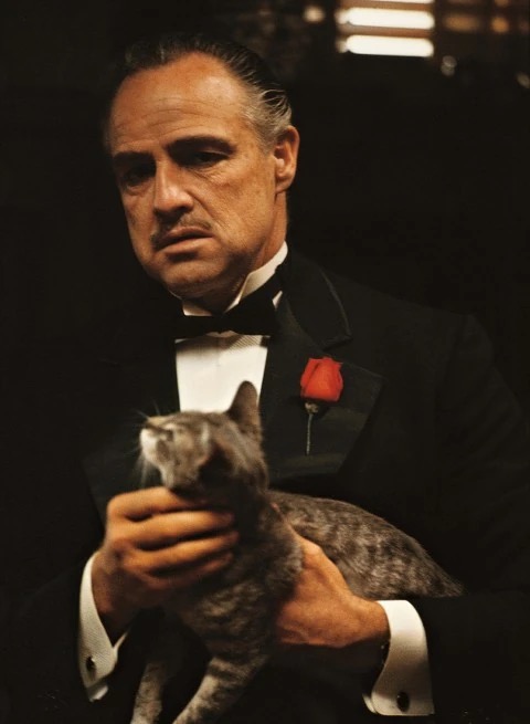 Don Vito Corleone with his cat, from The Godfather (1972)